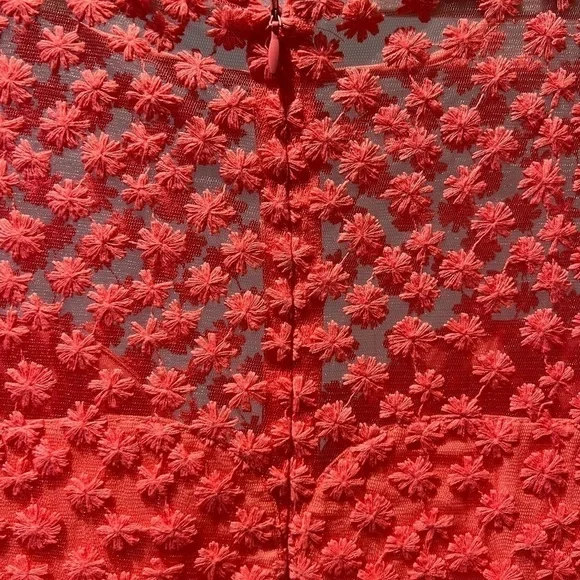 Anthropologie | Nicole Miller Atelier Floral Mesh Overlay Dress Coral, Size 4 - Picture 4 of 6